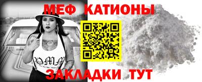 индика Ставрополь