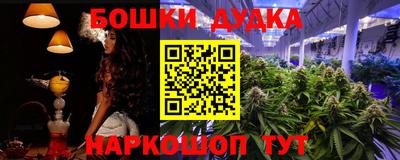 индика Ставрополь