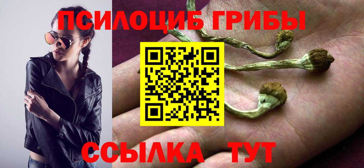 закладки  Вход с VPN  Ноябрьск  Галлюциногенные грибы MAGIC MUSHROOMS 